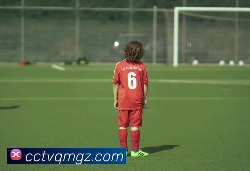 爱游戏体育平台生态图