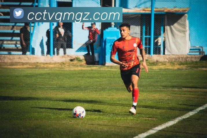 爱游戏体育APP 封面图